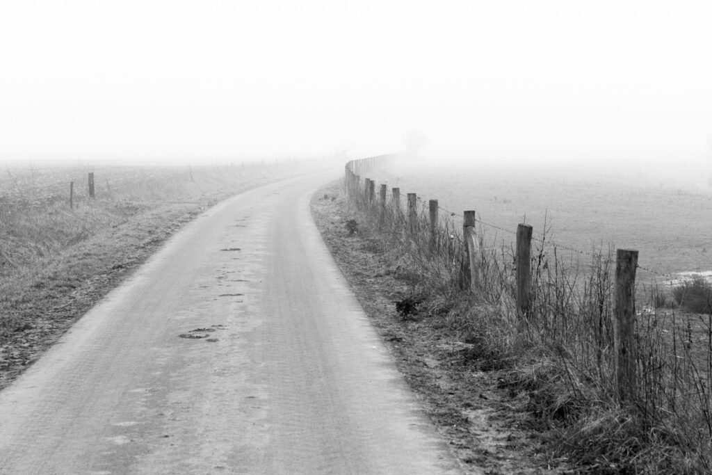 Mist in de uiterwaarden bij Batenburg