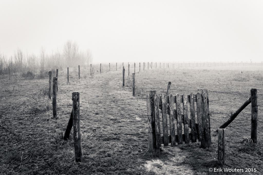 Uiterwaarden Maas bij Batenburg
