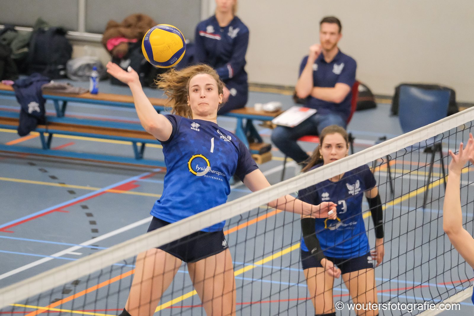 Actiefoto Pegasus-Ledub