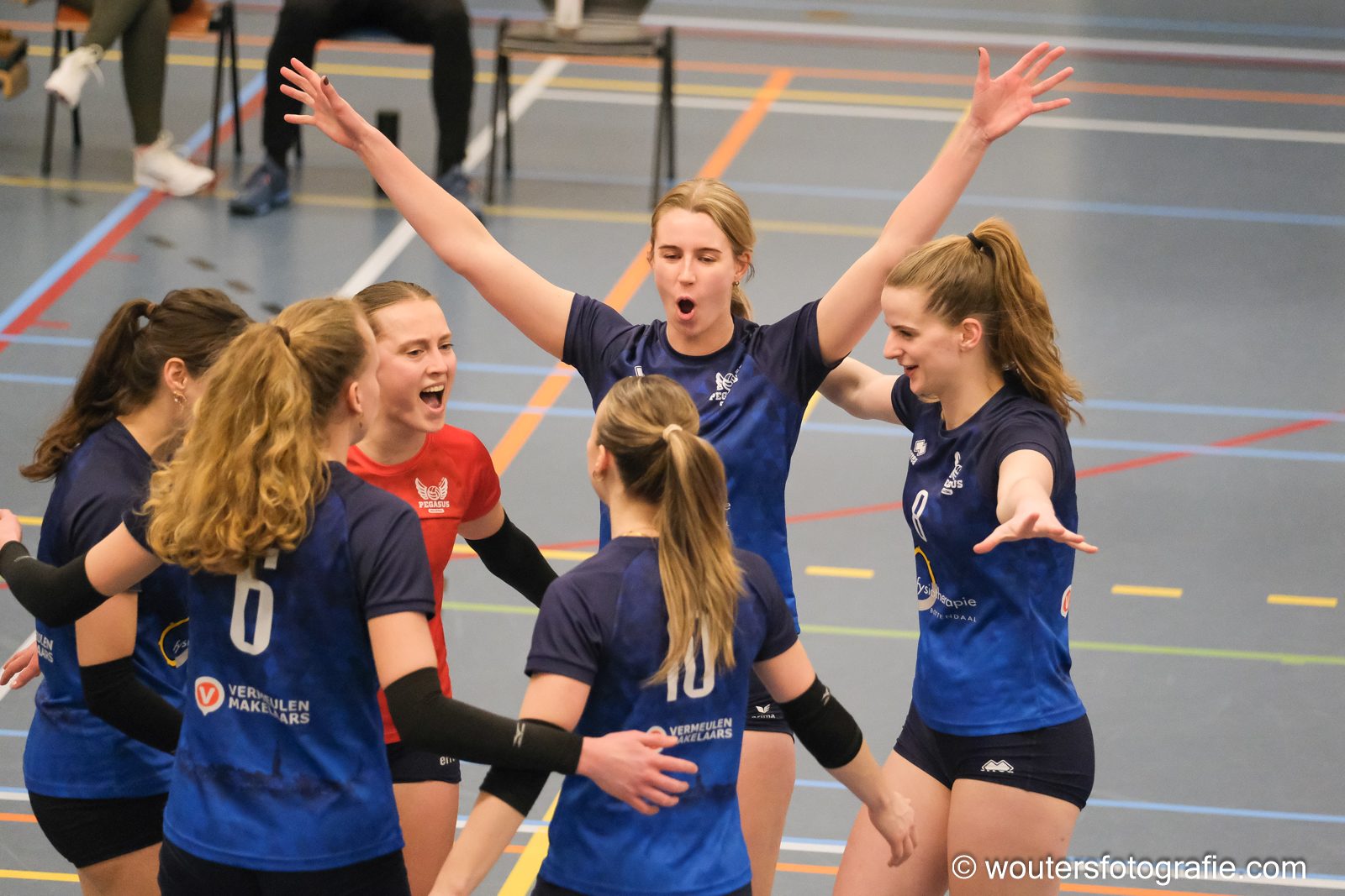 Actiefoto Pegasus-Volley Tilburg